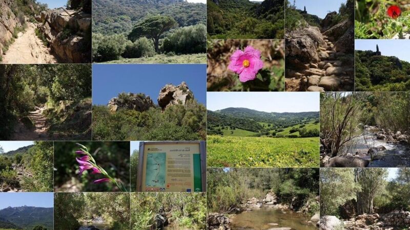 Qué ver en Alcalá de los Gazules, España