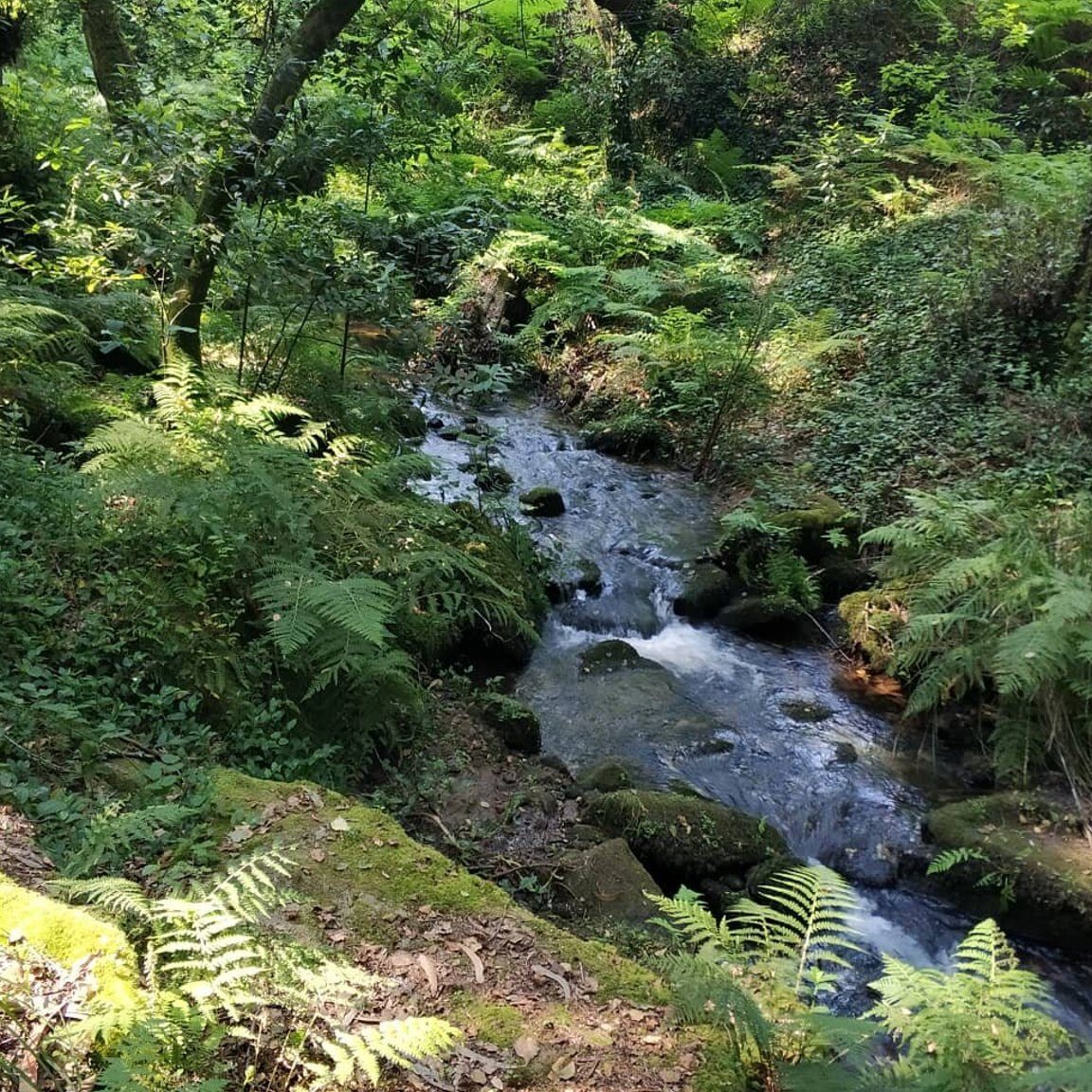 Qué ver en Aldán, España