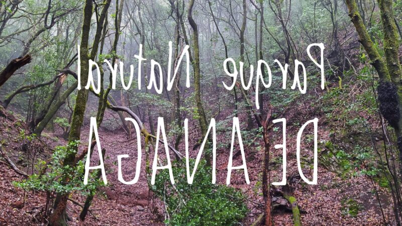 Qué ver en Anaga, España
