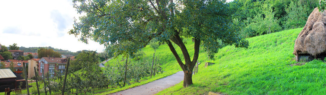 Que ver en Astigarraga España