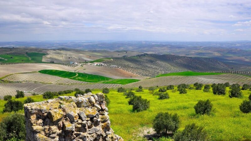 Que ver en Baena, España