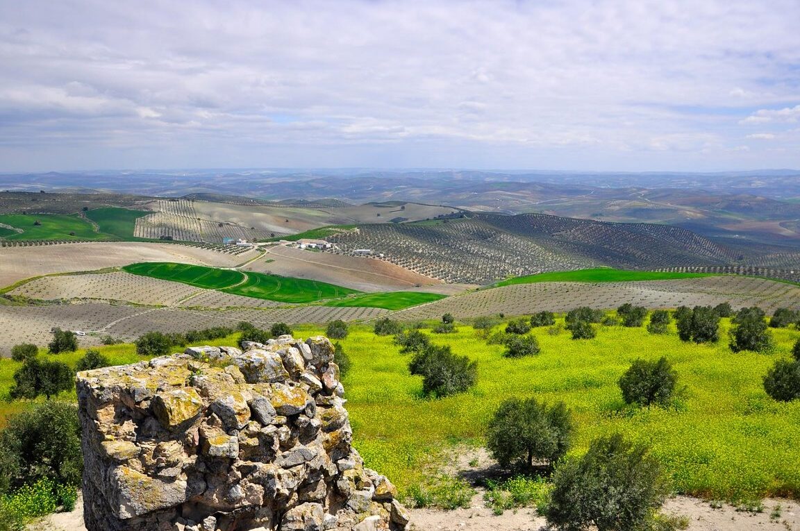 Que ver en Baena, España