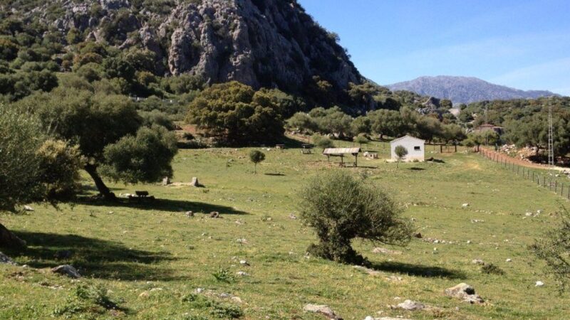 Qué ver en Benaocaz, España