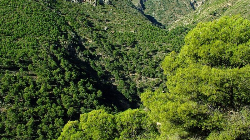 Que ver en Berja, España