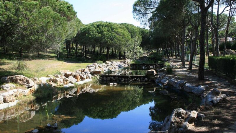 Qué ver en Castro Marim, Portugal