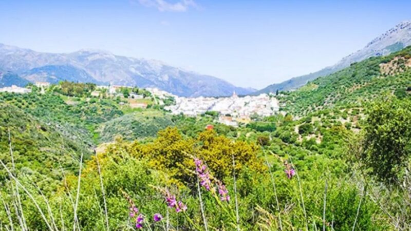 Que ver en Cortes de la Frontera, España