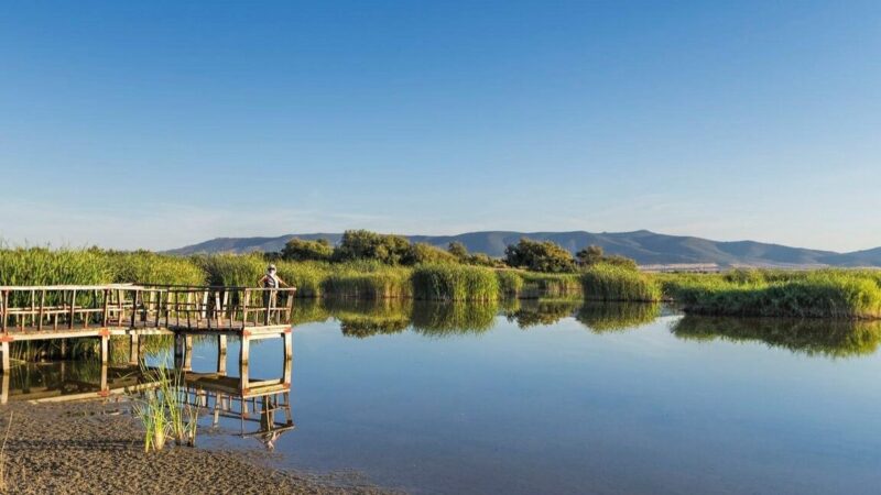 Qué ver en Daimiel, España