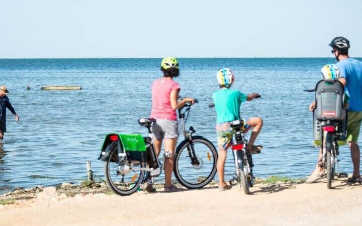 Qué ver en El Delta del Ebro con niños, España