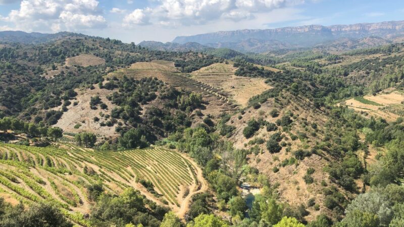 Qué ver en El Priorat España