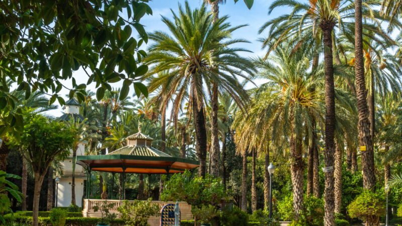 Que ver en Elche, España