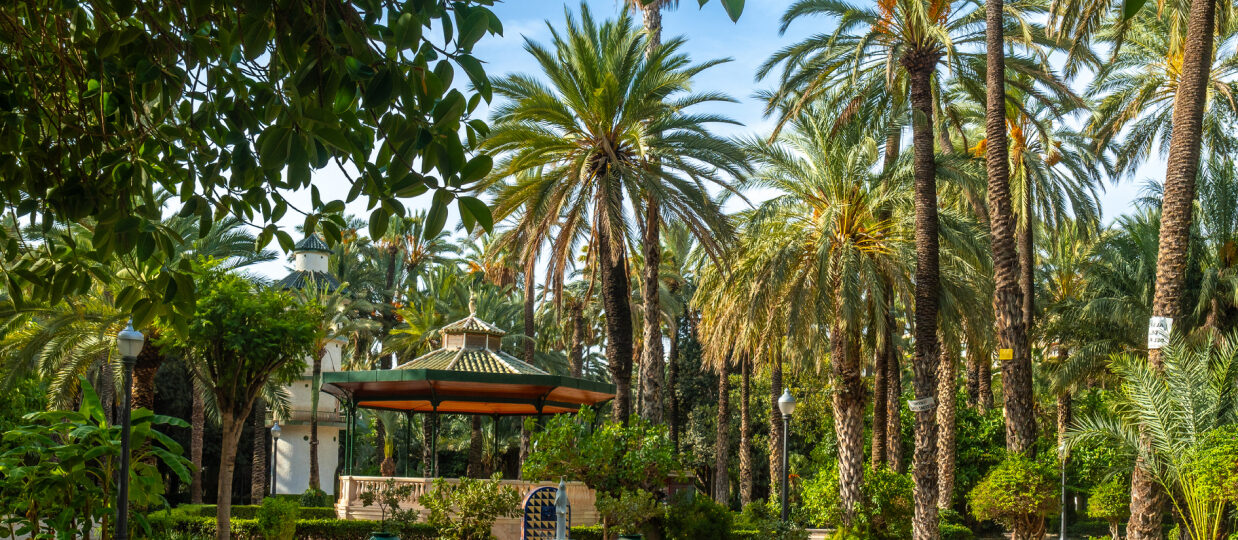 Que ver en Elche, España