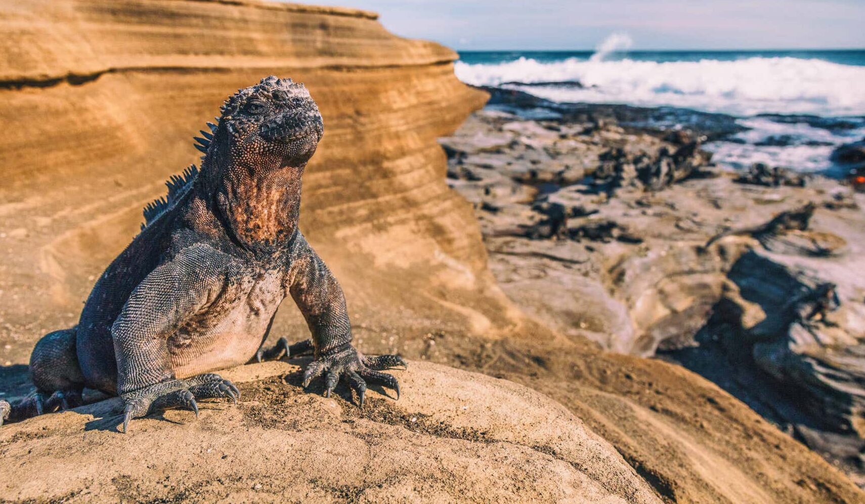Qué ver en Galápagos, Ecuador