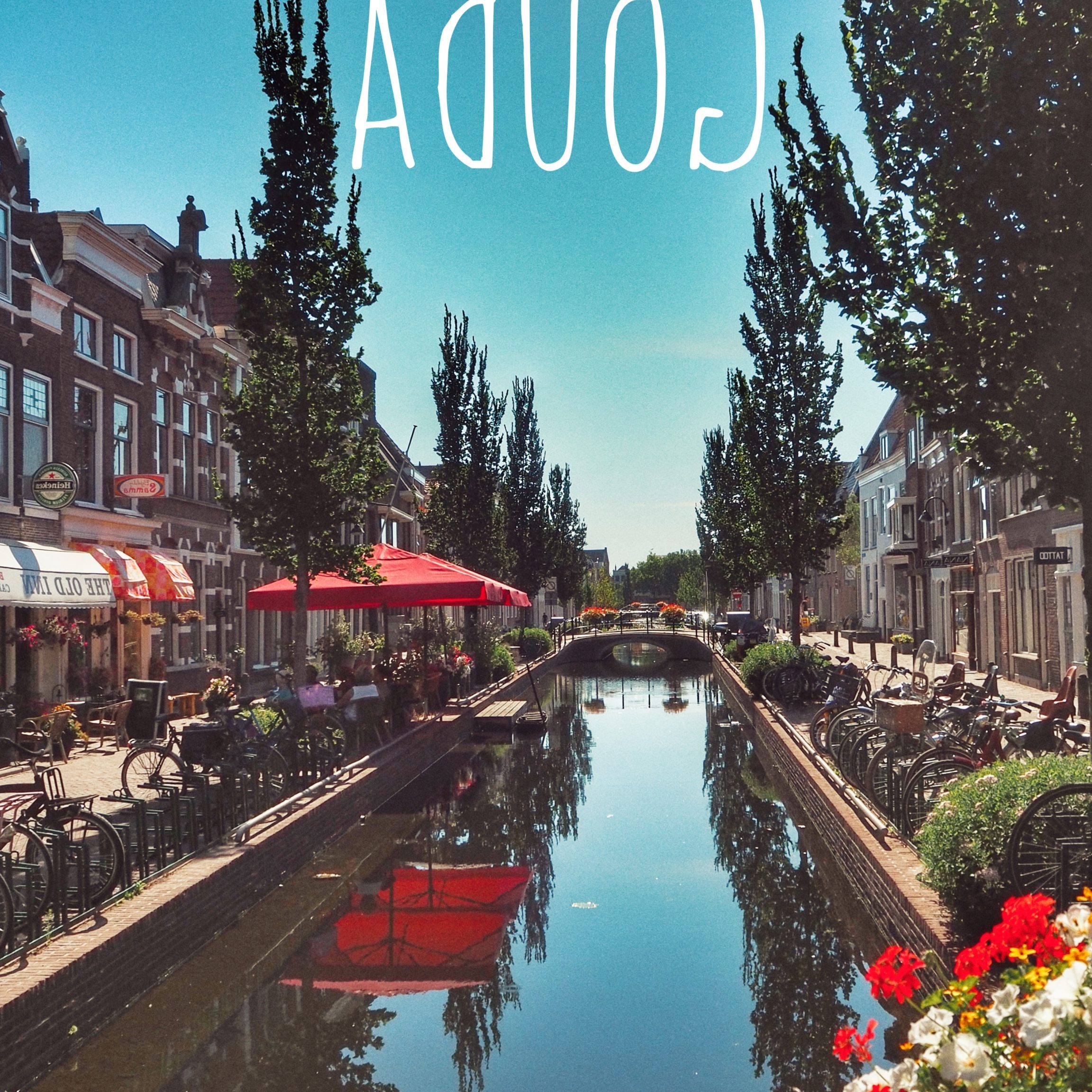 Que ver en Gouda, Países Bajos