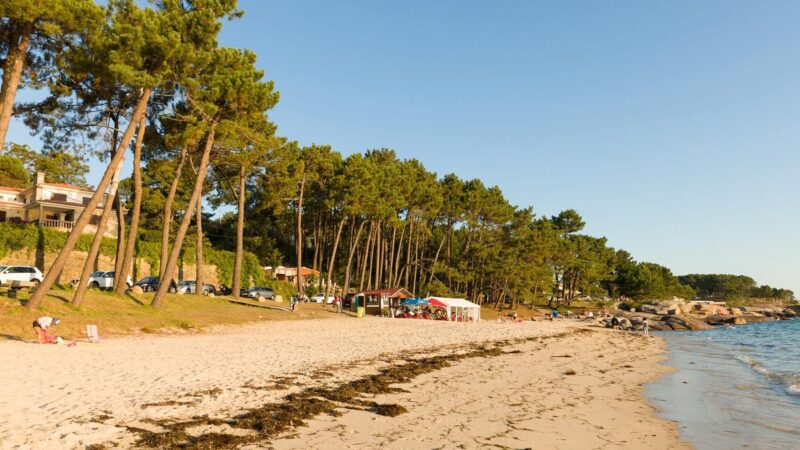 Que ver en Grove, España