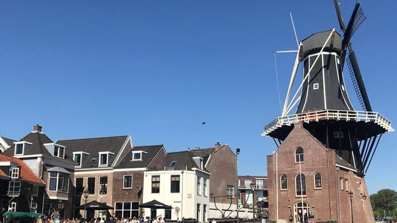 Qué ver en Haarlem Países Bajos