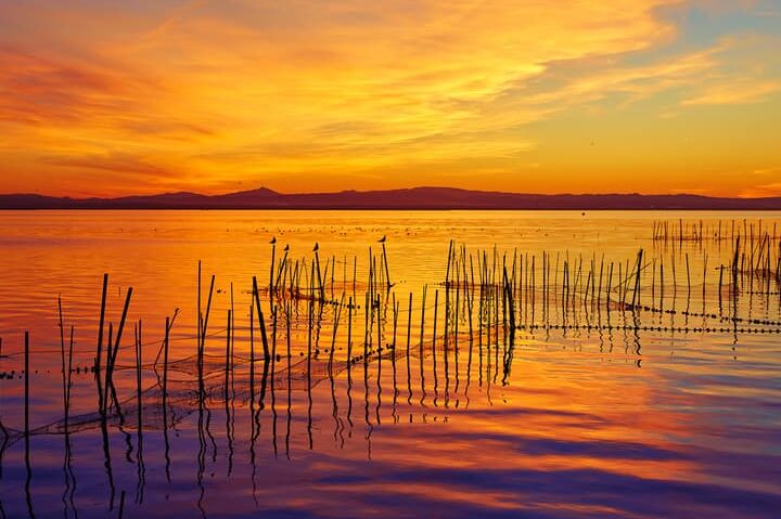 Qué ver en La Albufera de Valencia, España