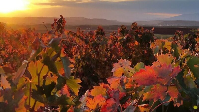 Que ver en La Rioja, España