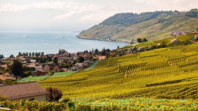 Qué ver en Lausana, Suiza