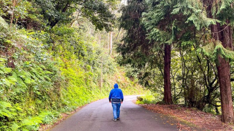 Qué ver en Madeira en 10 días, Portugal
