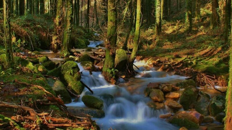 Qué ver en Moaña, España