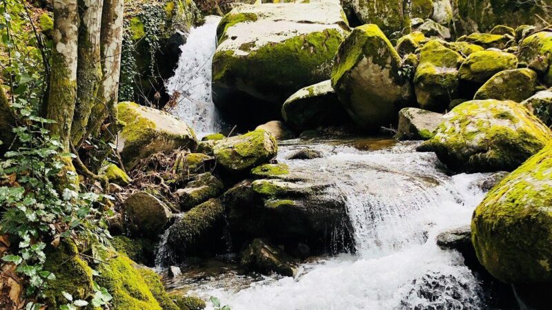 Qué ver en Mogarraz, España