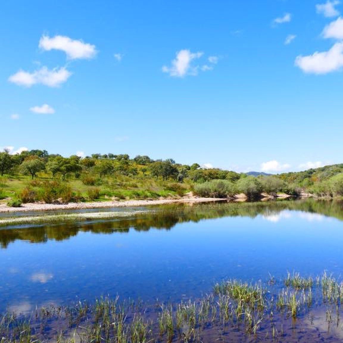 Qué ver en Monfortinho, Portugal
