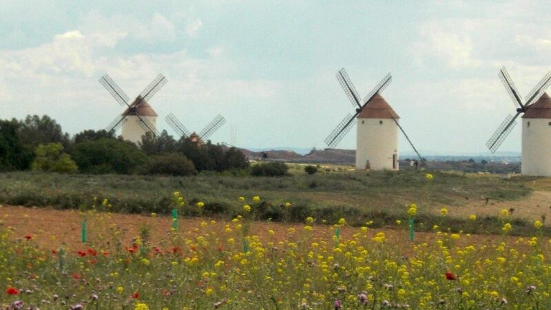 Qué ver en Mota del Cuervo, España