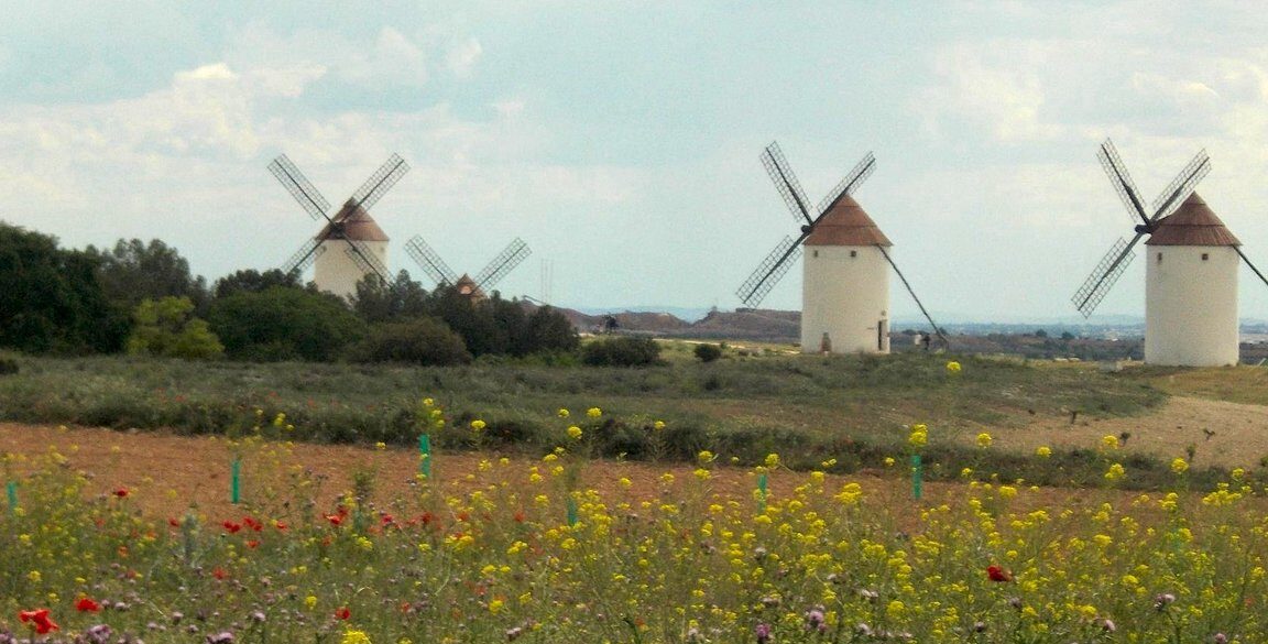 Qué ver en Mota del Cuervo, España