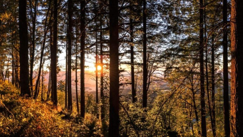 Qué ver en Oregon, Estados Unidos