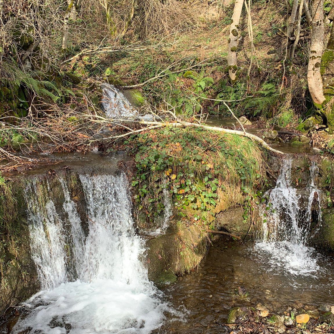 Qué ver en Oseja de Sajambre, España
