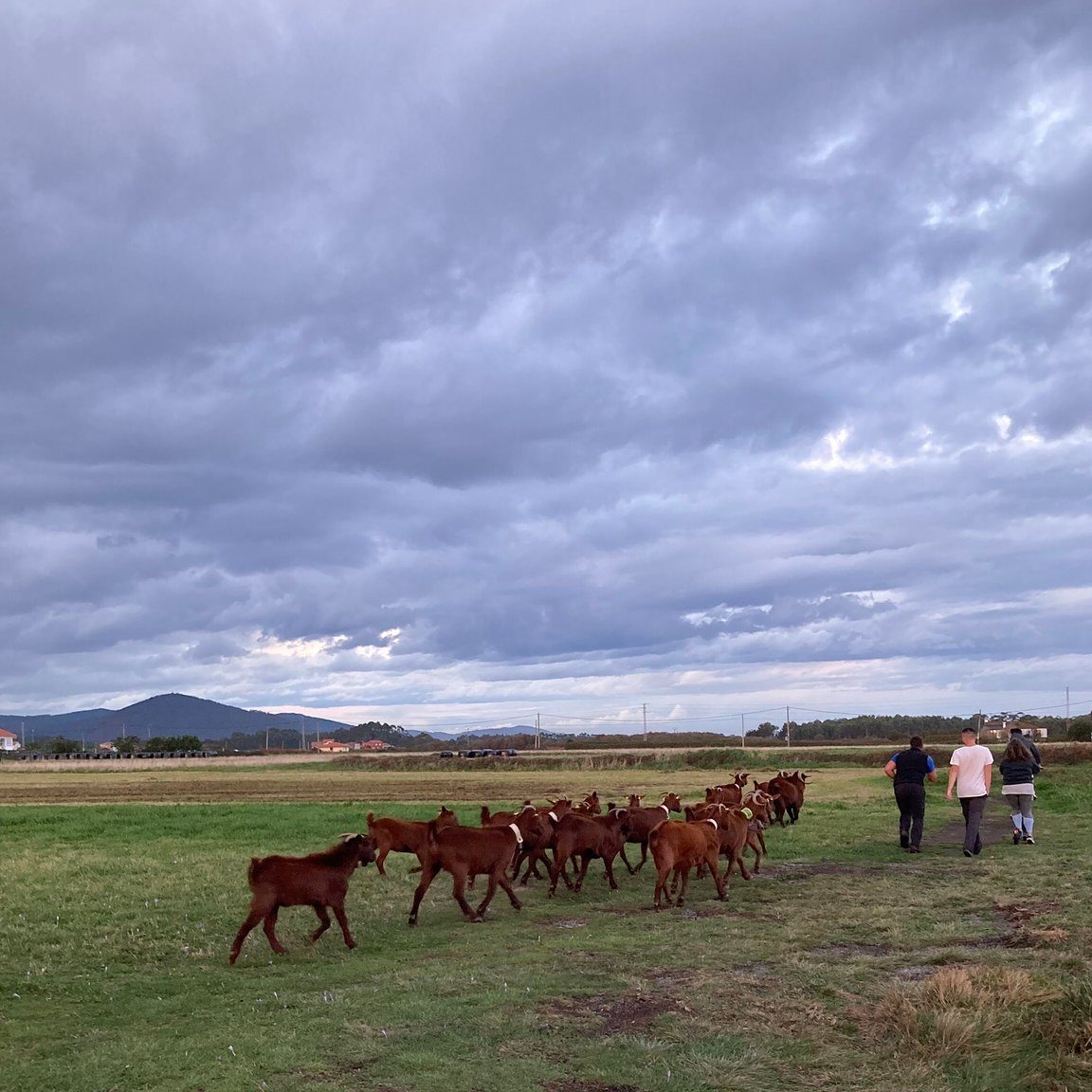 Que ver en Oviñana, España