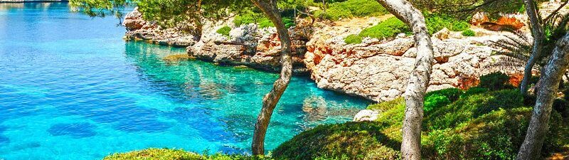 Que ver en Palma de Mallorca con niños, España