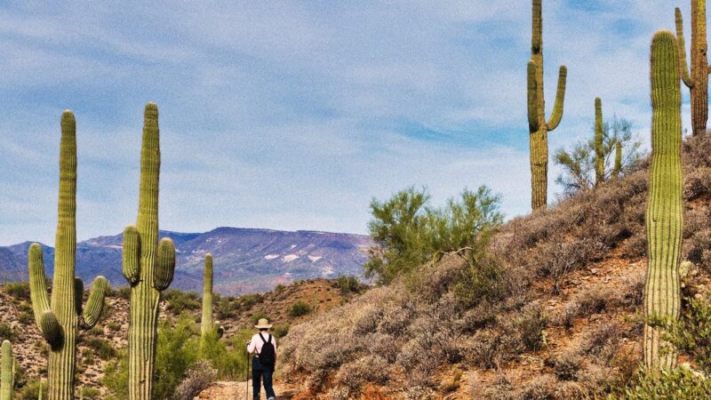 Qué ver en Phoenix, Estados Unidos