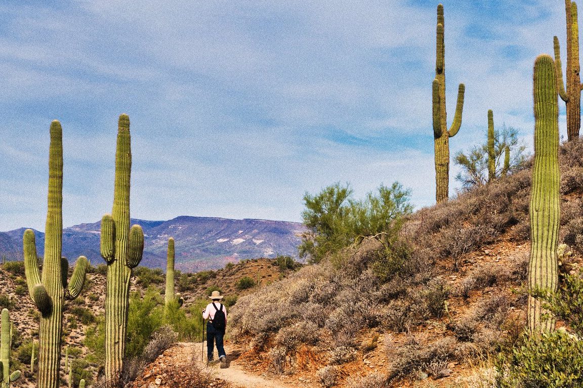 Qué ver en Phoenix, Estados Unidos