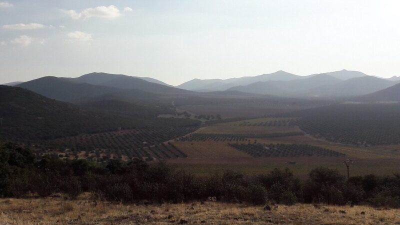 Qué ver en Puerto Lápice, España