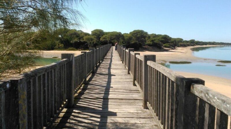 Qué ver en Puerto Real, España