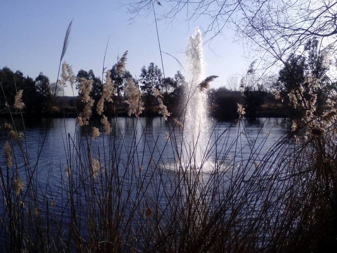 Qué ver en San Martín de la Vega, España