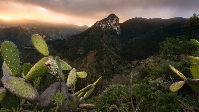 Qué ver en Tenerife Norte, España