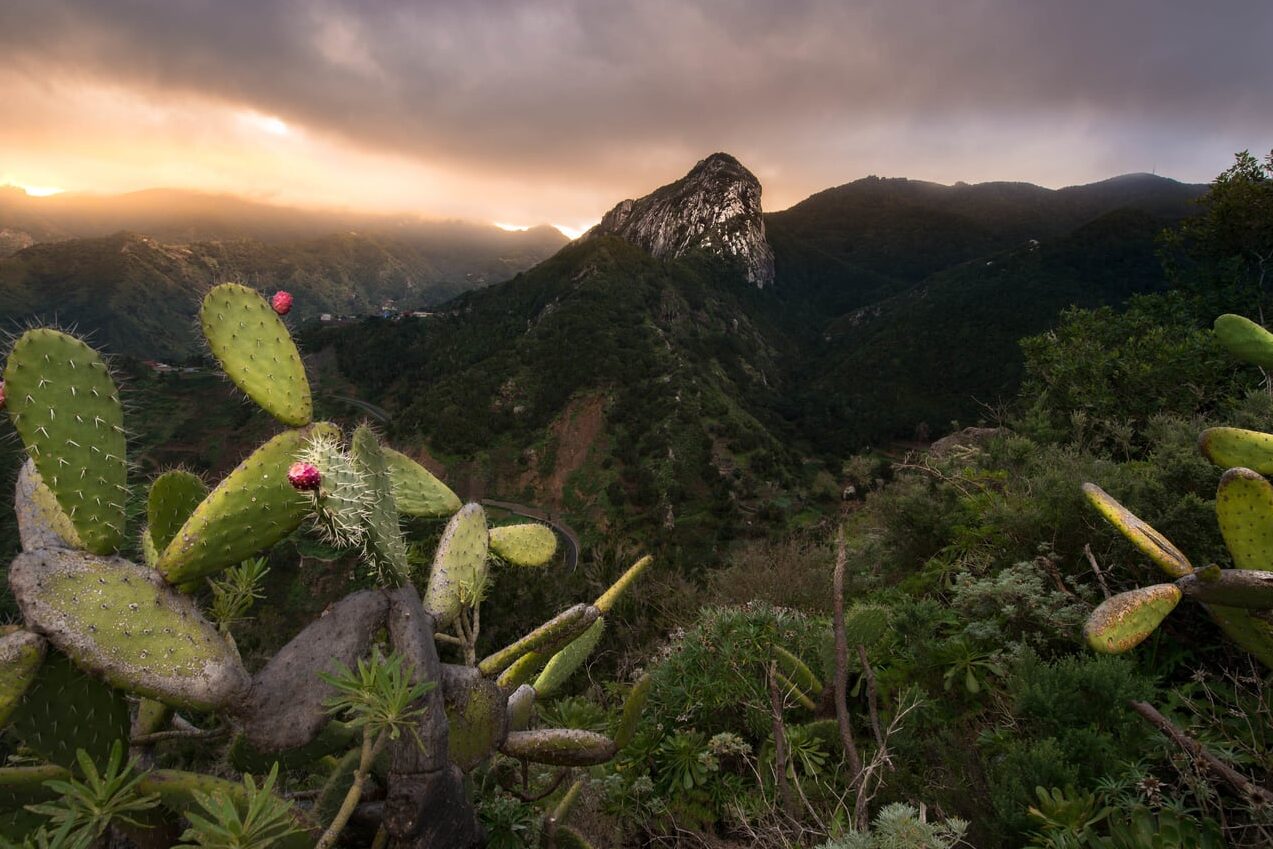 Qué ver en Tenerife Norte, España