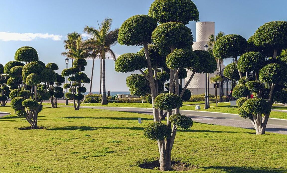 Que ver en Torremolinos con Niños, España
