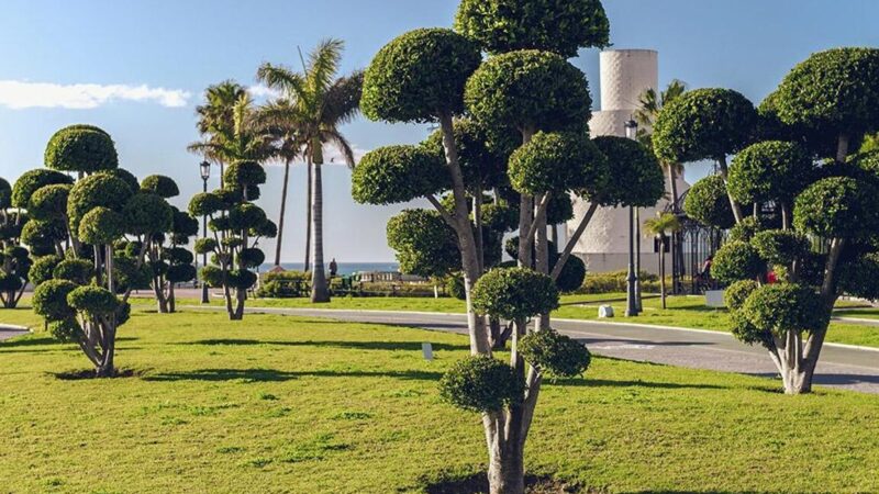 Que ver en Torremolinos, España