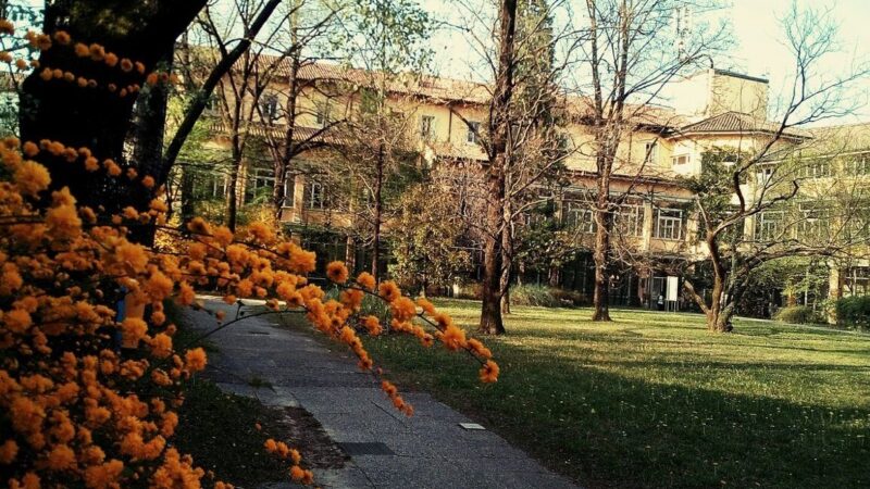 Que ver en Udine, Italia