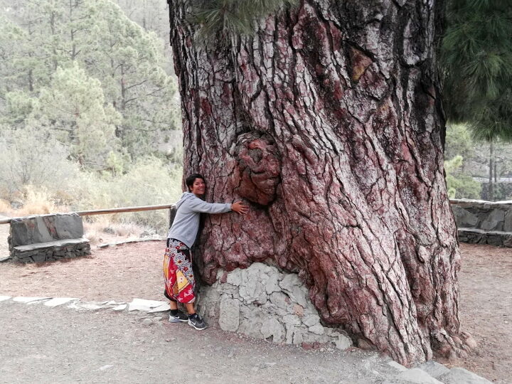 Qué ver en Vilaflor, España