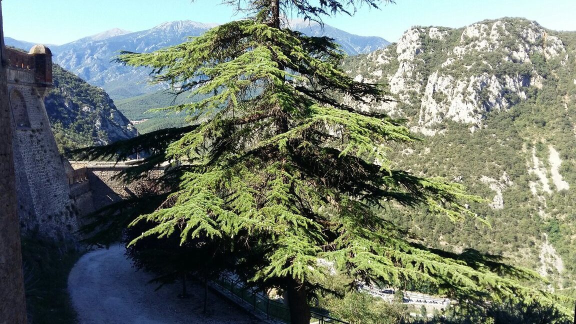 Que ver en Vilafranca de Conflent, Francia