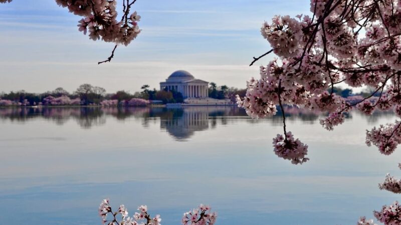 Qué ver en Washington, Estados Unidos