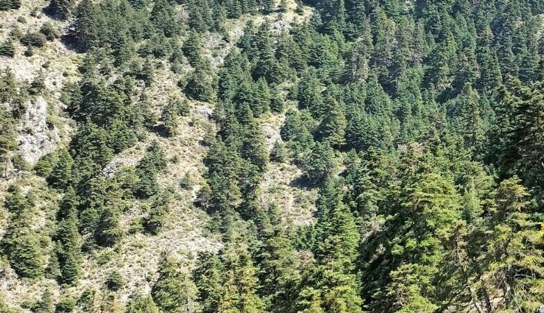 Qué ver en Yunquera, España
