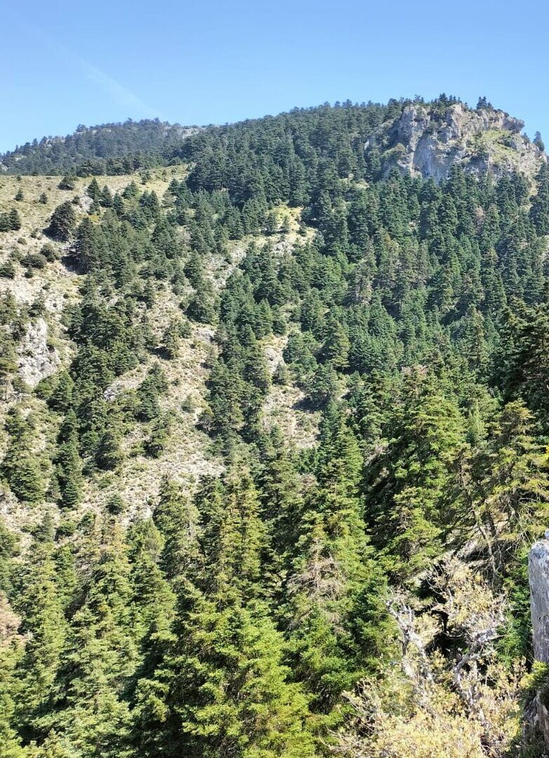 Qué ver en Yunquera, España